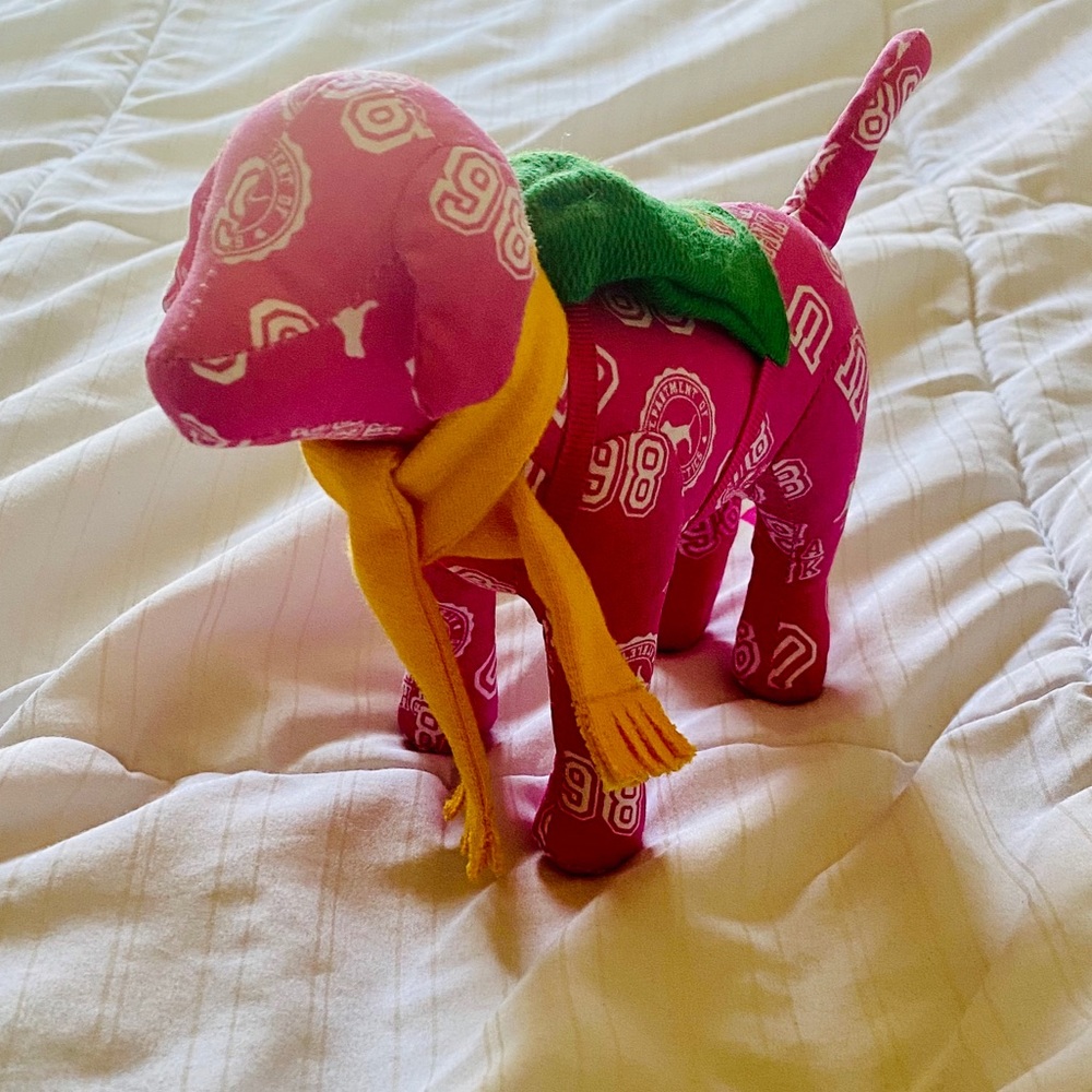 Back to School PINK Dog